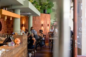 Minipig Café